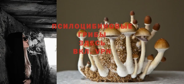 ешки Дмитров