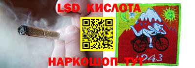 крисы Кунгур