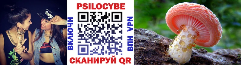 это наркотические препараты Острогожск Галлюциногенные грибы Cubensis наркошоп