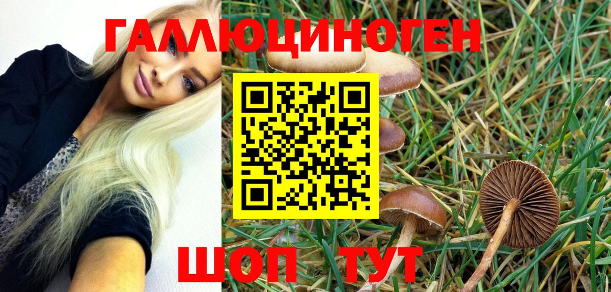 Острогожск  Псилоцибиновые грибы MAGIC MUSHROOMS  Вход с VPN 