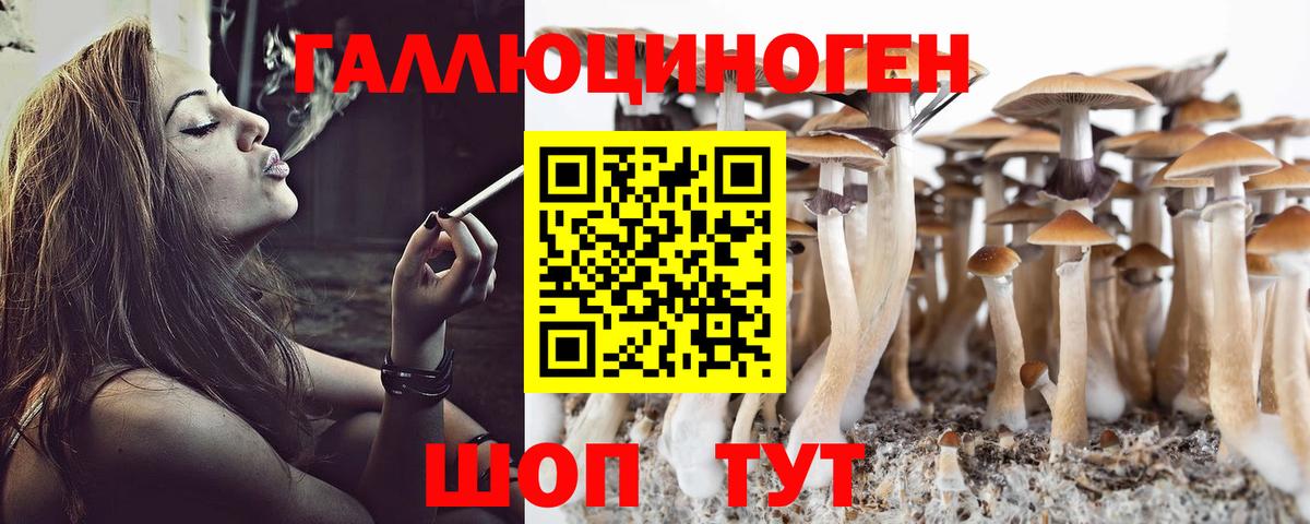 наркота  Острогожск  Псилоцибиновые грибы ЛСД 